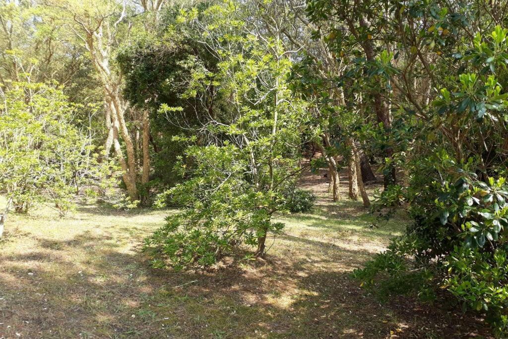 Appt Seignosse Le Penon - Plages Commerces A Pied מראה חיצוני תמונה